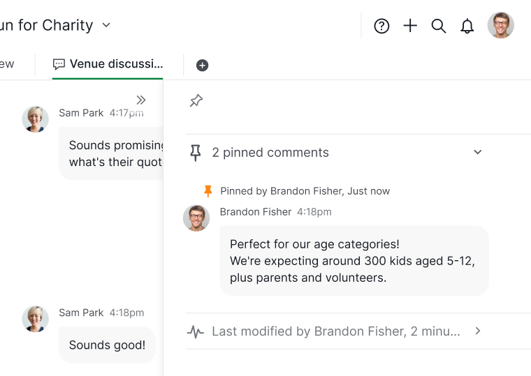 pin section for all pinned messages