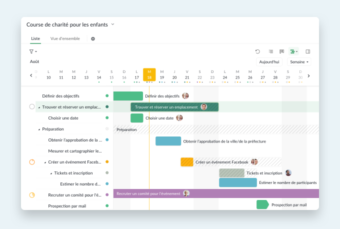 Gantt chart project management software