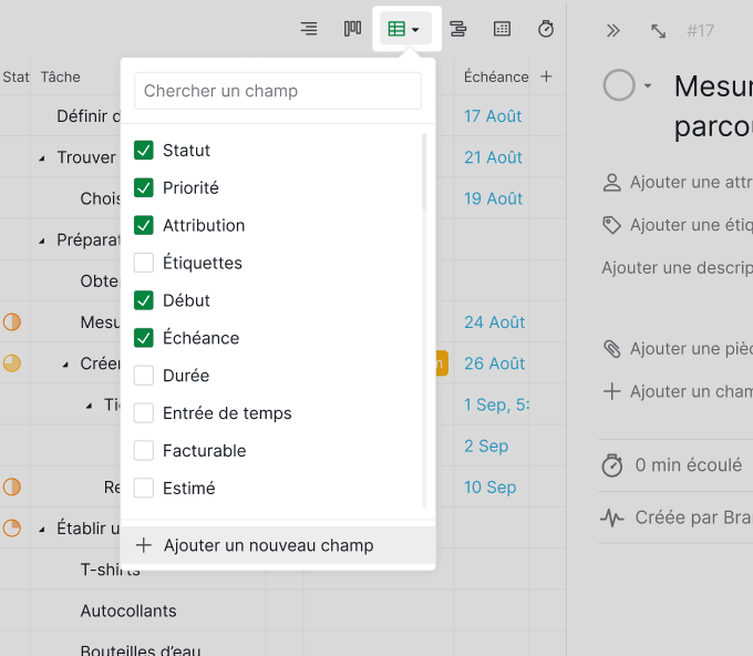 Table_view_Custom_Fields