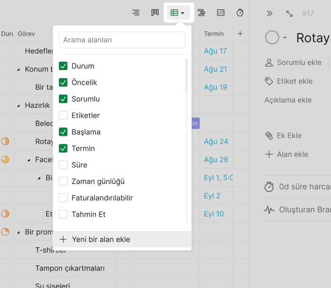 Table_view_Custom_Fields